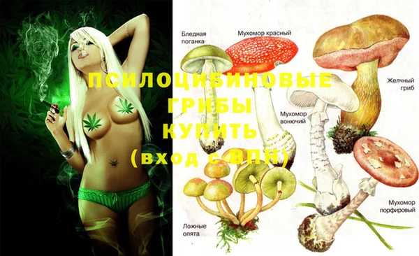 MESCALINE Иннополис
