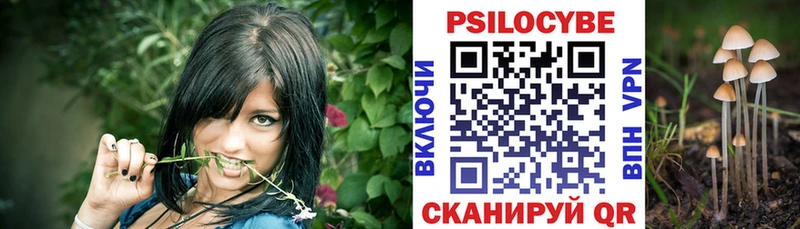 Купить где  Ивангород  Галлюциногенные грибы GOLDEN TEACHER 